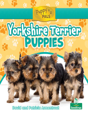 cover image of Yorkshire Terrier Puppies